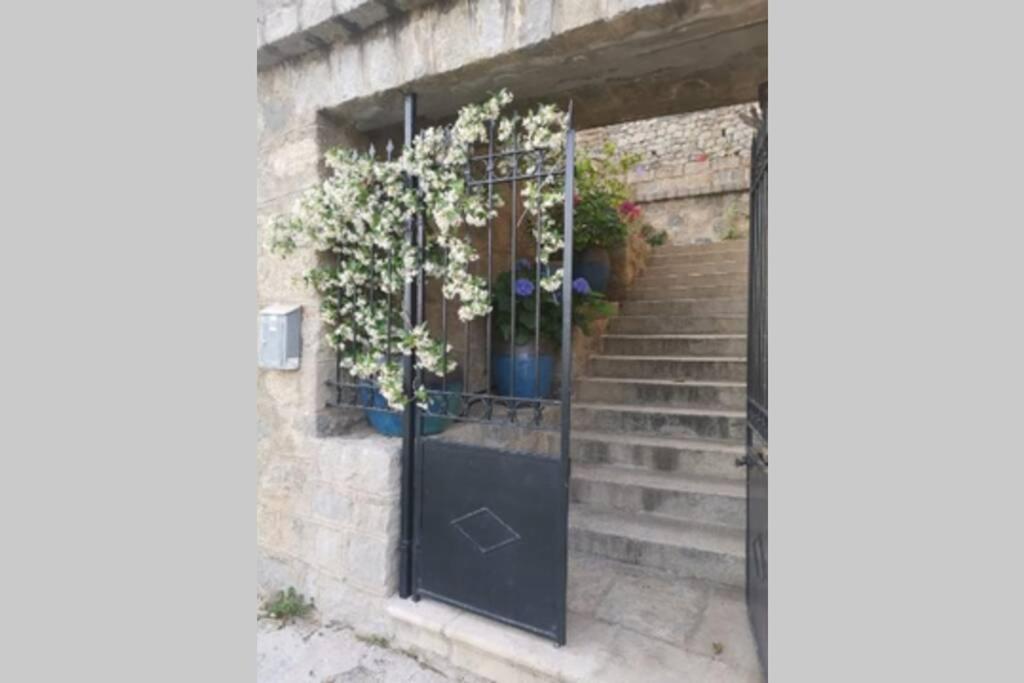 Appartement De Charme A Olmeto Olmeto  Ngoại thất bức ảnh
